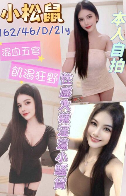 雲林定點茶-小松鼠/162/46/21/D