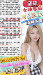 苗栗定點茶-黛絲/164/47/23/D