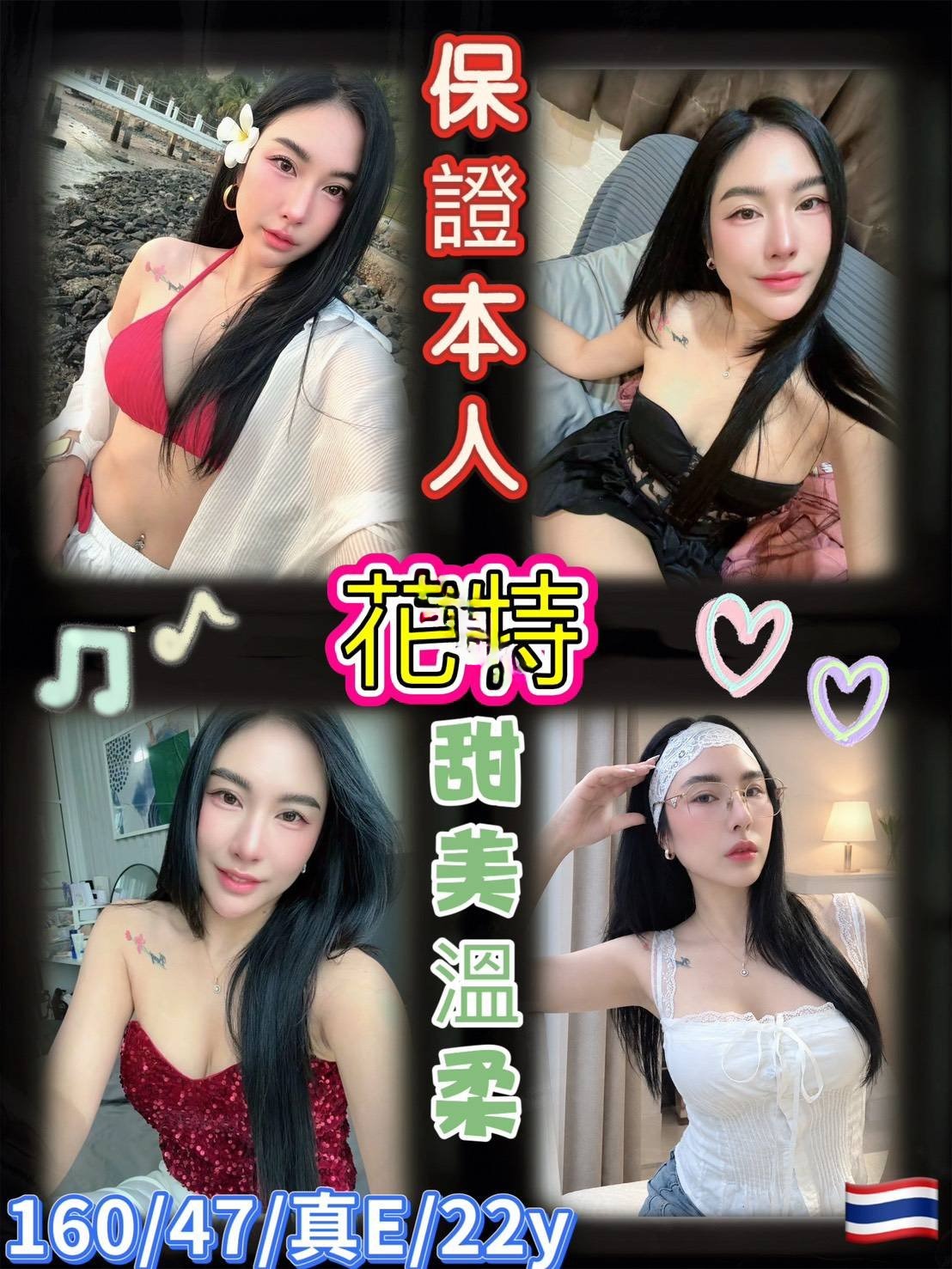 台北定點茶-花特/160/47/22/E 台北定點茶-花特/160/47/22/E