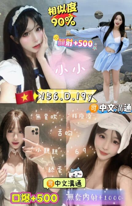 新北定點茶-小小/156/45/19/D