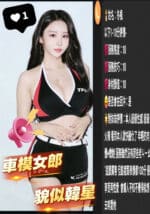 台中定點茶-冬楓/172/59/27/C