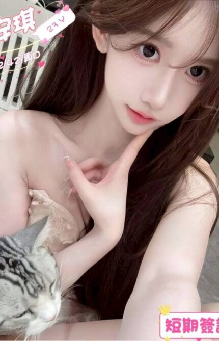 台中定點茶-安琪/162/42/23/D