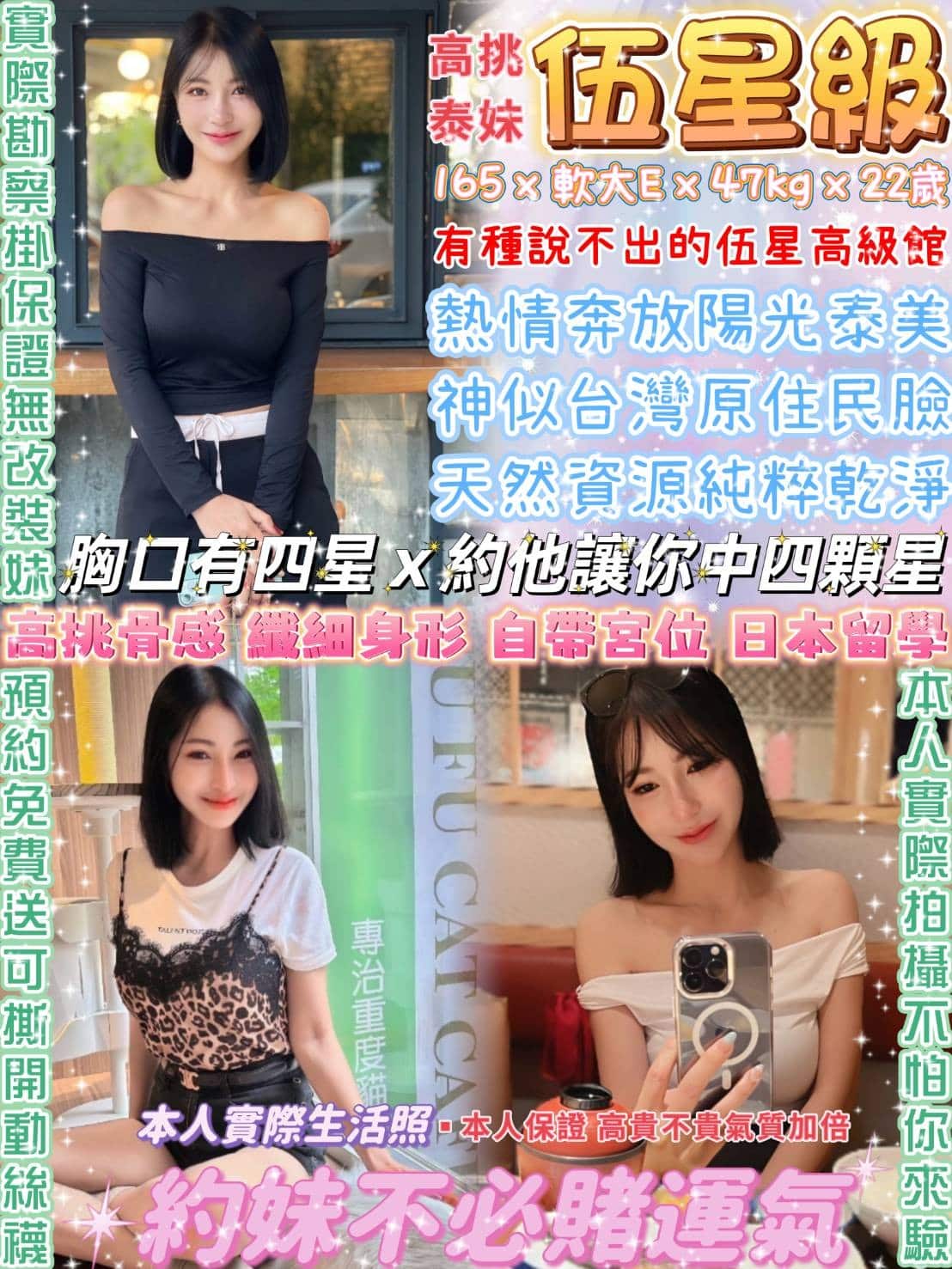 台北定點茶-伍星級/165/47/22/E 台北定點茶-伍星級/165/47/22/E