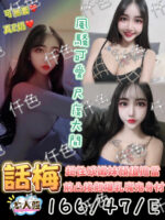 台東定點茶-話梅/157/48/22/C