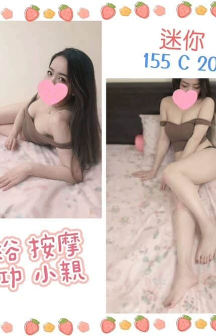 台北定點茶-迷你/155/?/20/C