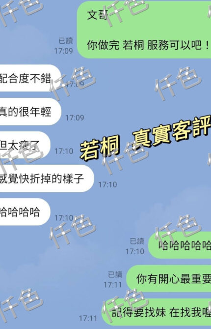 台北定點茶-若桐/160/46/22/C