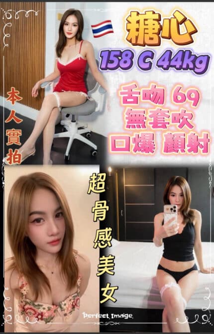 新北定點茶-糖心/158/44/?/C