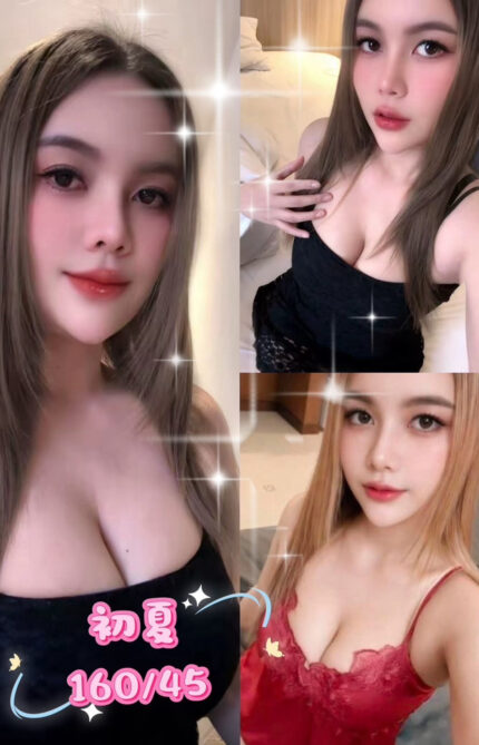 屏東定點茶-初夏/160/45/19/B