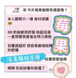 台中定點茶-莓果/160/45/19/D