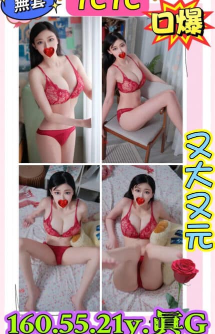 新北定點茶-元元/160/55/21/G