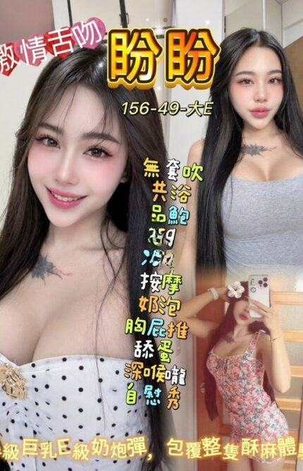 桃園定點茶-盼盼/156/49/22/E
