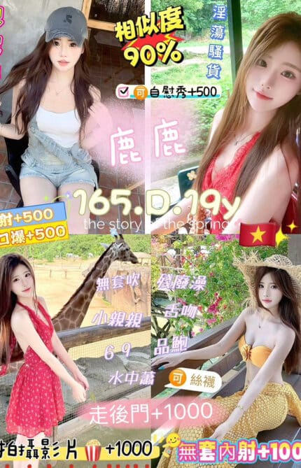 新北定點茶-鹿鹿/165/45/19/D