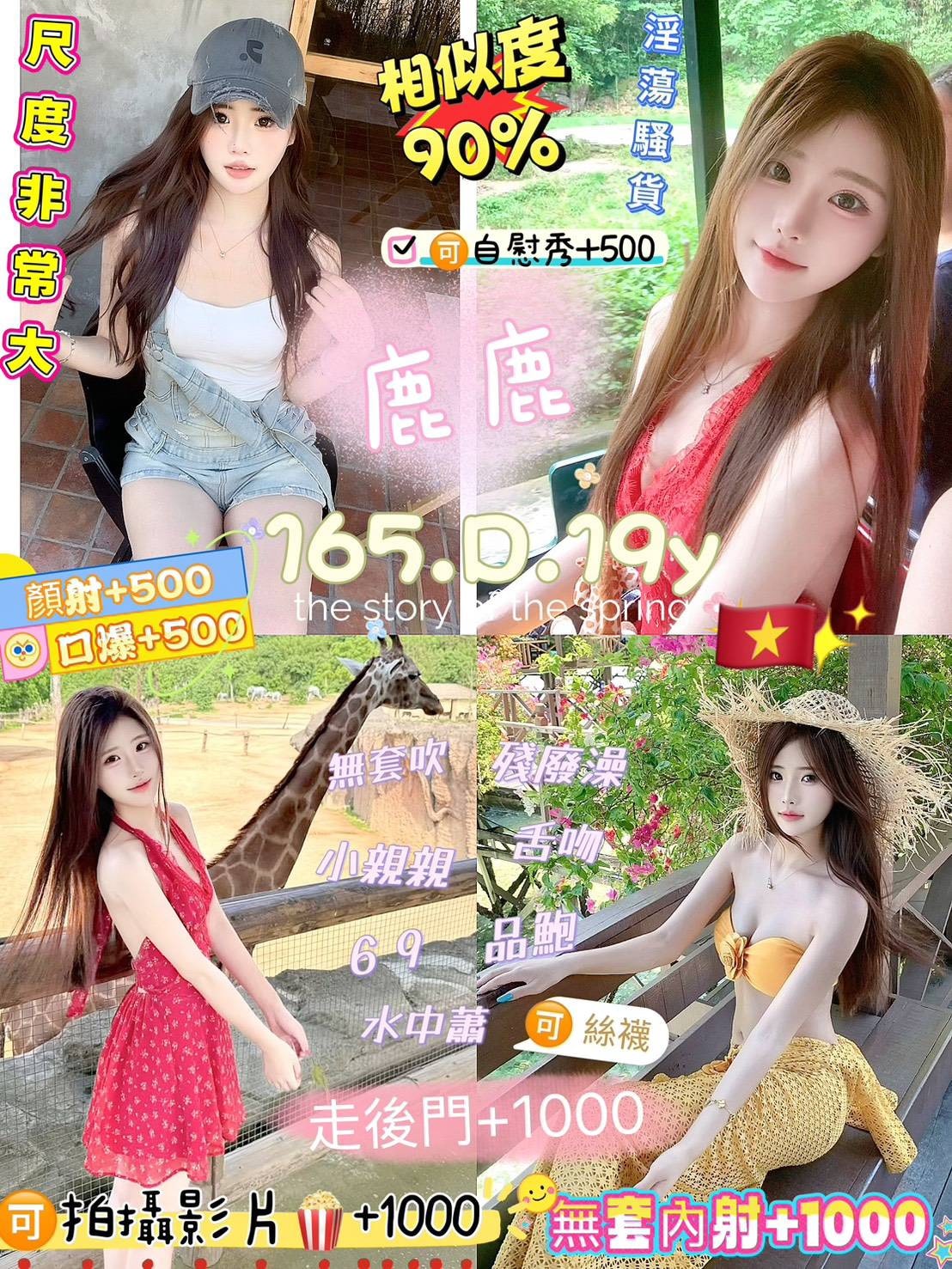 新北定點茶-鹿鹿/165/45/19/D 新北定點茶-鹿鹿/165/45/19/D