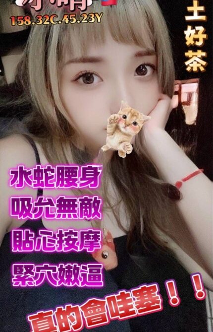 桃園定點茶-小晴/158/45/23/C