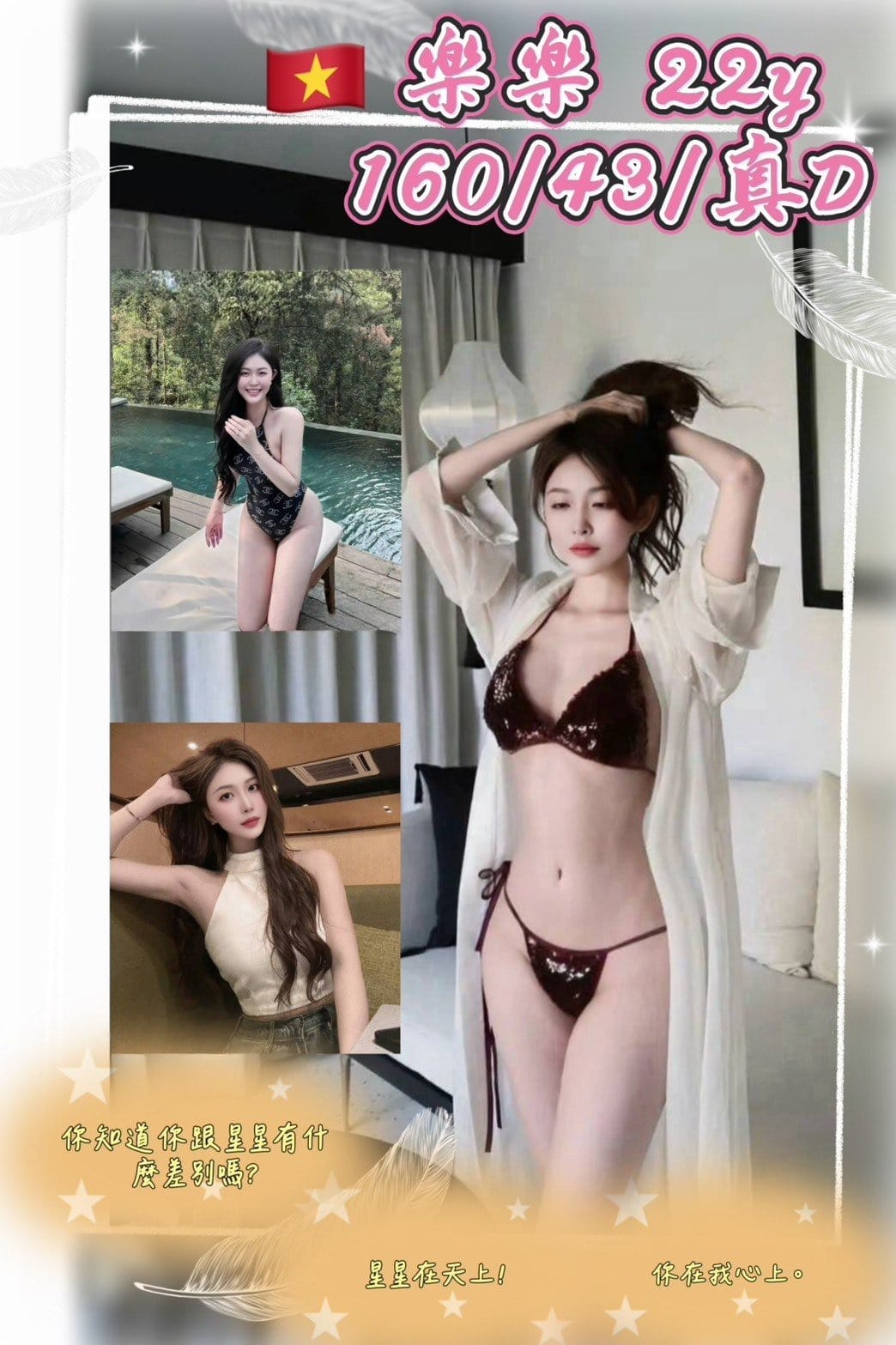 桃園定點茶-樂樂/160/43/22/D 桃園定點茶-樂樂/160/43/22/D