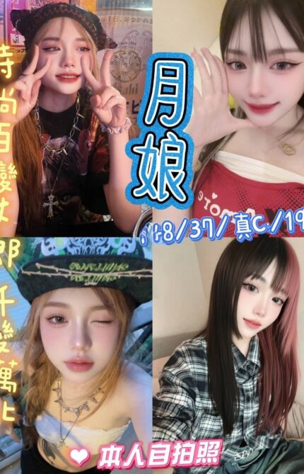 新北定點茶-月娘/148/37/19/C