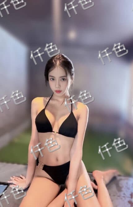 苗栗定點茶-小母狗/161/50/31/C