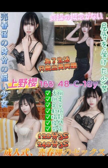 桃園定點茶-上野櫻/168/48/18/C