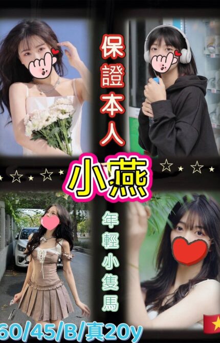 台北定點茶-小燕/160/45/20/B