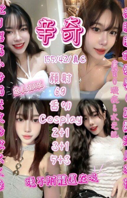新竹定點茶-辛奇/155/42/22/C