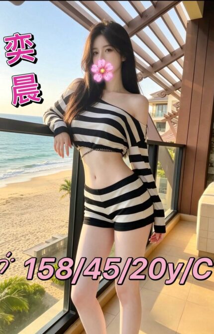 台南外送茶-奕晨/158/45/20/C