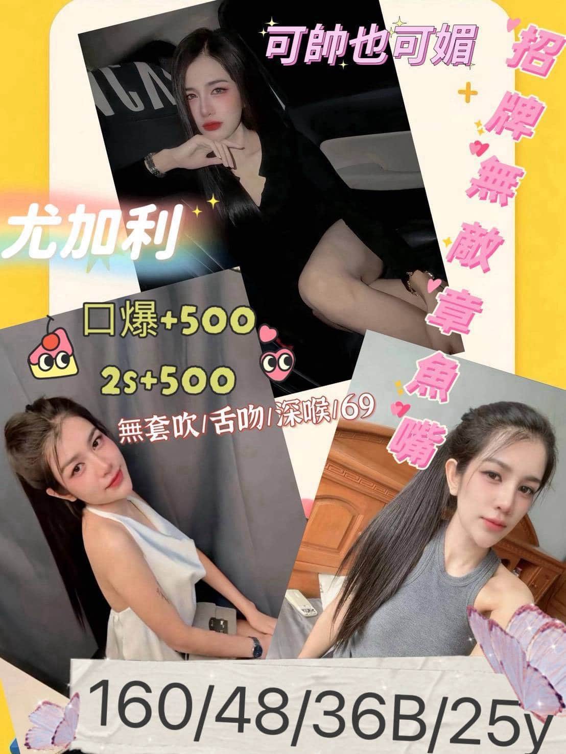 台南定點茶-尤加利/160/48/25/B 台南定點茶-尤加利/160/48/25/B