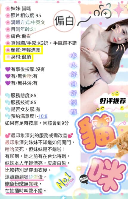新竹定點茶-貓咪/165/50/19/D