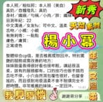 高雄定點茶-楊小冪/160/43/19/E