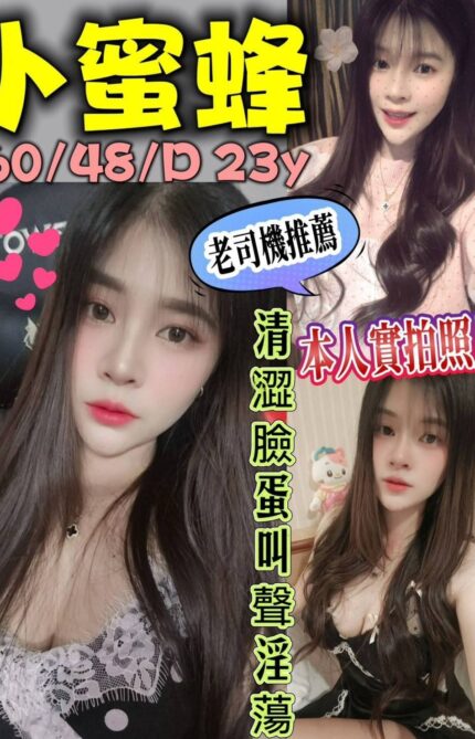 新北定點茶-小蜜蜂/160/48/23/D