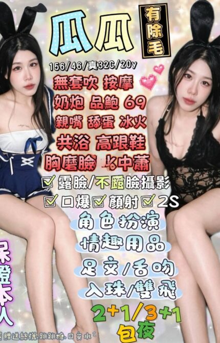 花蓮定點茶-瓜瓜/156/46/20/C