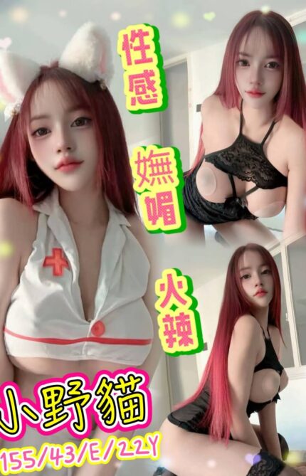 新北定點茶-小野貓/155/43/22/E