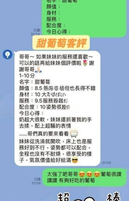 台南定點茶-甜葡萄/155/45/22/H