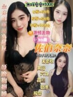 桃園定點茶-佐伯奈奈/157/47/20/C