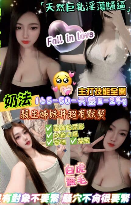 台北定點茶-奶法/165/50/24/E