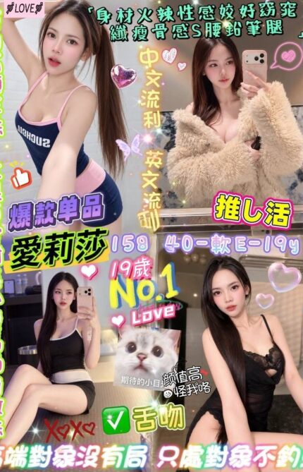 台北定點茶-愛莉莎/158/40/19/E
