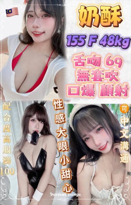 新北定點茶-奶酥/155/48/?/F