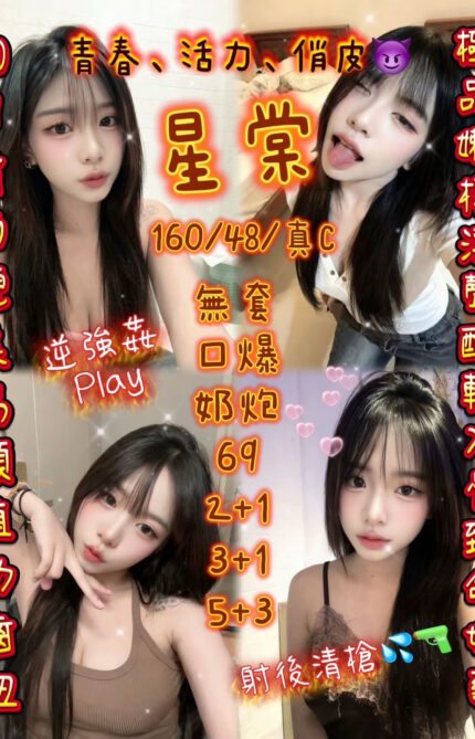 新竹定點茶-星棠/160/48/20/C