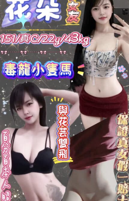 新北定點茶-花朵/151/43/22/C