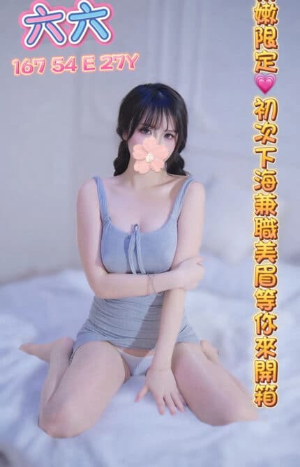 台中定點茶-六六/167/54/27/E