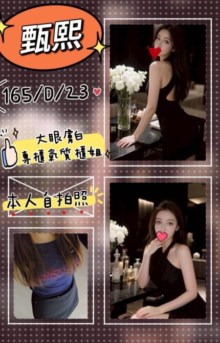 台北外送茶-甄熙/165/?/23/D
