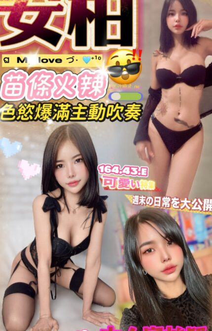 南投定點茶-安柏/172/59/30/C