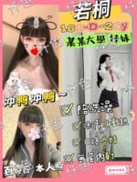 台北定點茶-若桐/160/46/22/C