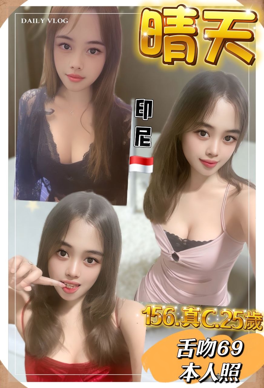 新北定點茶-晴天/156/49/25/C 新北定點茶-晴天/156/49/25/C