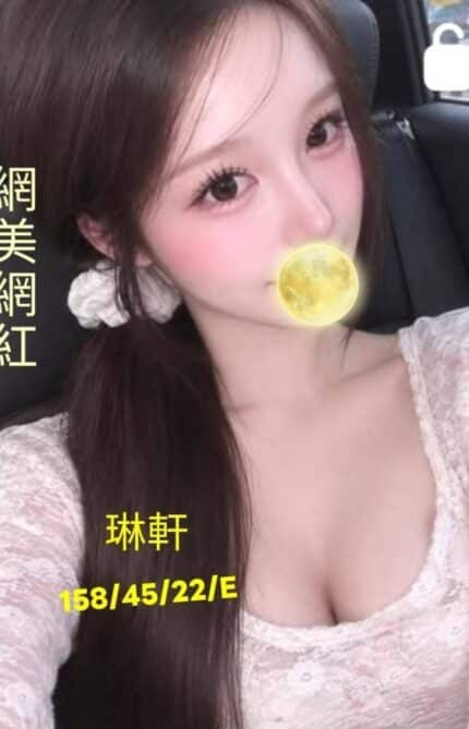 台中外送茶-琳軒/158/45/22/E