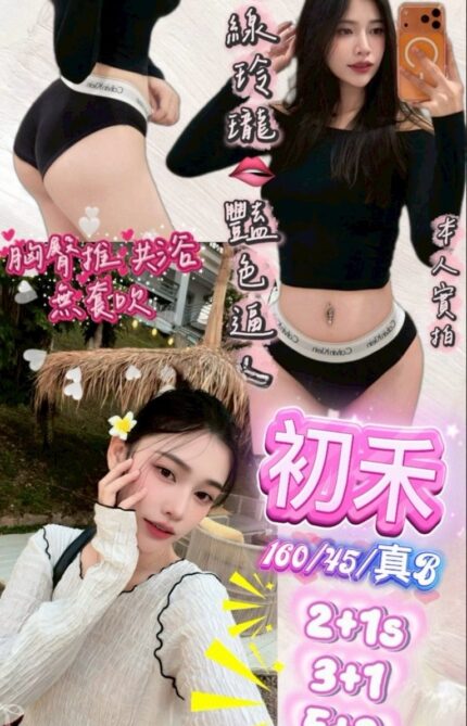 新竹定點茶-初禾/160/45/23/B