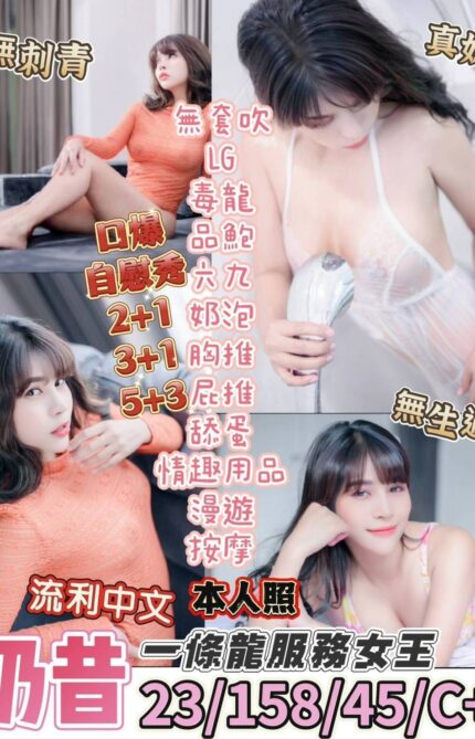台東定點茶-奶昔/164/45/22/C