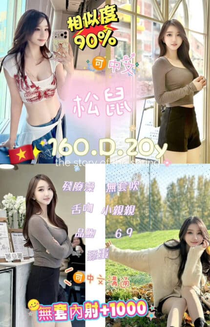 台北定點茶-松鼠/160/45/20/D