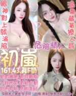 台北定點茶-初嵐/161/43/?/F