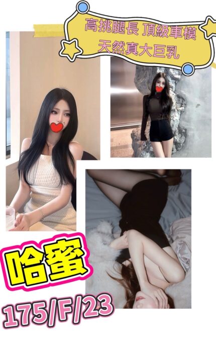 台北外送茶-哈蜜/175/?/23/F
