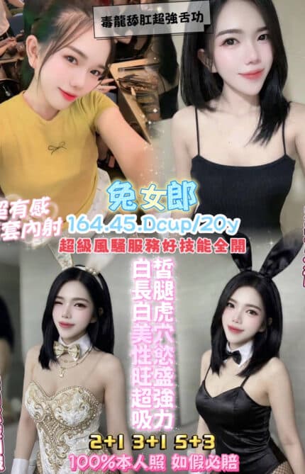 桃園定點茶-兔女郎/164/45/20/D